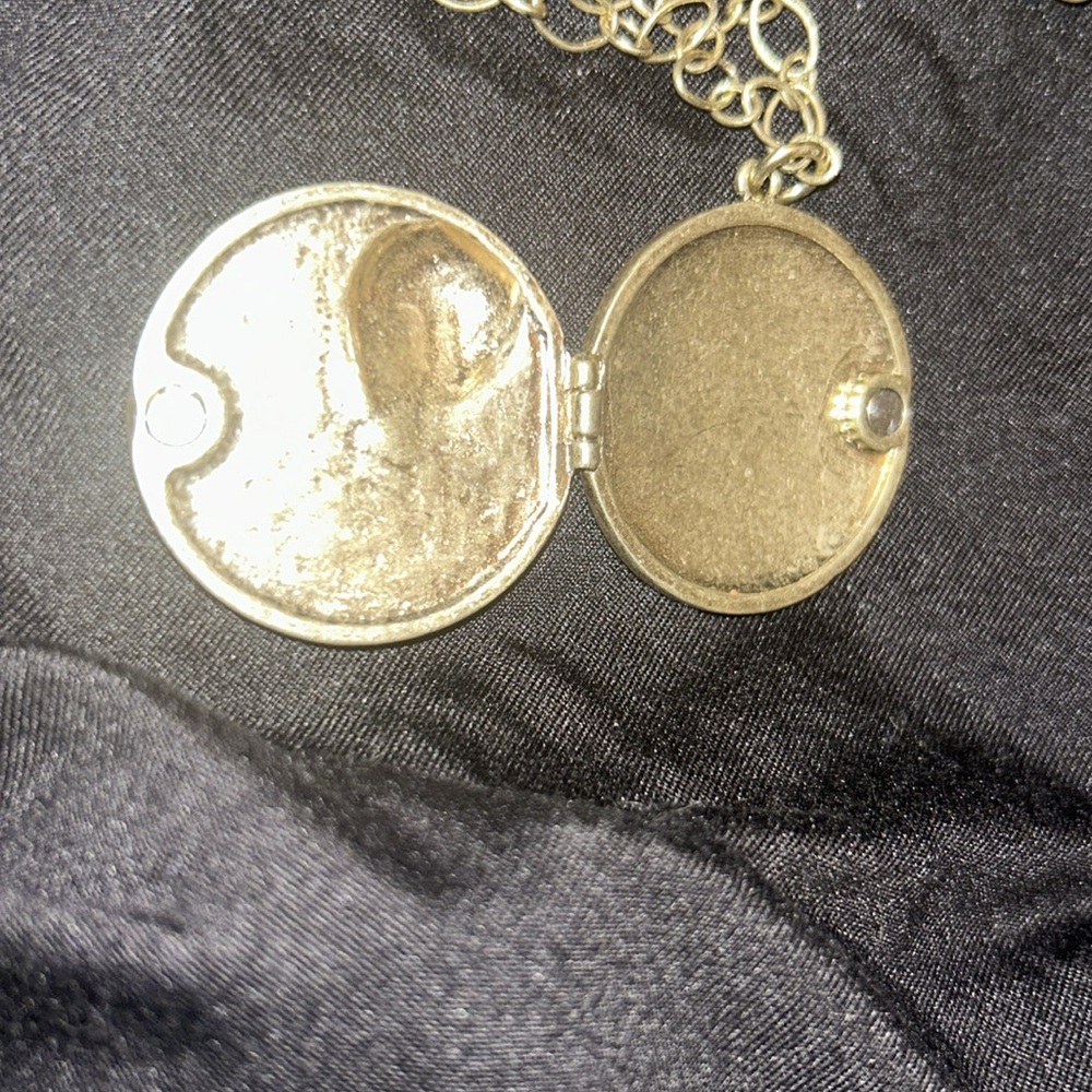 Fun Goldtone Locket Necklace - Picture 3 of 4